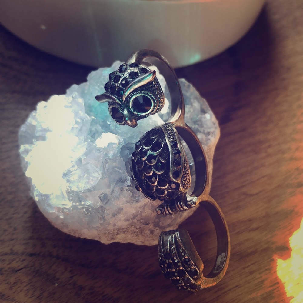 Lucky Brand three finger owl ring